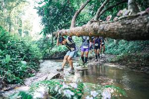 BIB: 
                            <button type="button" onclick="openModal(25435635)" class="btn btn-primary btn-sm float-right btn-popup" data-toggle="modal" data-target=".modal-high-quality">
                        <i class="fas fa-shopping-cart"></i> Add to Cart
                    </button>
                                            <button type="button" onclick="isThisMe(25435635, true)" class="btn btn-success btn-sm float-right btn-popup btn-isme hidden" data-toggle="tooltip" data-placement="bottom" title="นี่คือรูปของคุณใช่ไหม คลิกที่นี่เพื่อเอาเข้าอัลบั้ม">
                        <i class="fas fa-plus"></i> Add to album
                    </button>
                    <button type="button" onclick="isThisMe(25435635, false)" class="btn btn-warning btn-sm float-right btn-popup btn-isnotme hidden">
                        <i class="fas fa-ban"></i> Remove from album
                    </button>